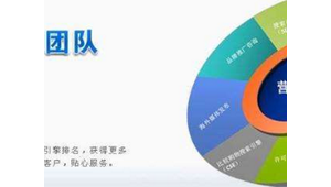 湖南專(zhuān)業(yè)的關(guān)鍵詞優(yōu)化價(jià)格_湖南有實(shí)力關(guān)鍵詞優(yōu)化費(fèi)用多少