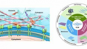 美術(shù)軟件下載網(wǎng)站有哪些(美術(shù)軟件推薦)