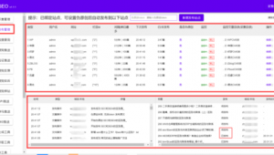 站群優化是什么意思(站群項目)