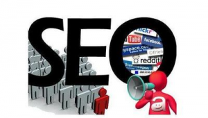 seo專業優化公司_seo引擎優化費用