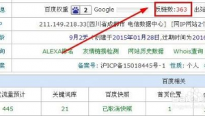 站群排名技術(站群關鍵詞排名代做)