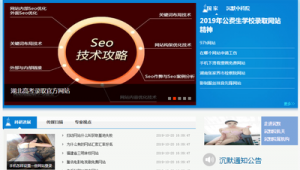 泛站群 如何提高排名