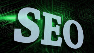 快速seo教程技術(shù)(seo快速排名軟件推薦)