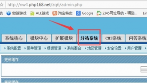 做站群需要注意什么(站群項目)