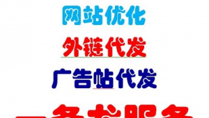 站群服務器搭建代理（建站代理）