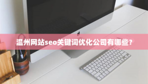 溫州網站優化有哪些方面的公司_溫州網站優化效果