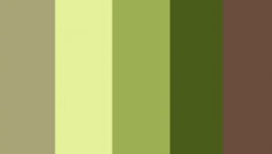 哈薩克網(wǎng)站圖片大全(哈薩克軟件baige下載)