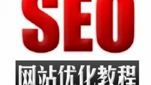 seo書籍推廣軟件有哪些（搜索引擎優化seo書籍）
