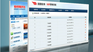 站群系統（什么叫站群系統）