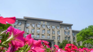 山東農(nóng)業(yè)大學qq群2021（山東農(nóng)業(yè)大學南校區(qū)吧）