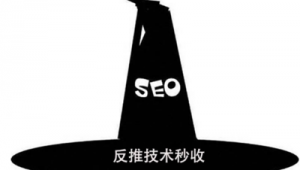 網(wǎng)站快速收錄軟件（seo收錄工具）