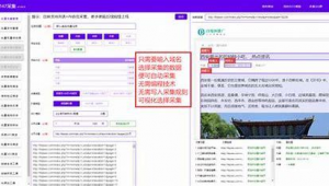 鑫光芒代理(鑫光芒為什么這么火)