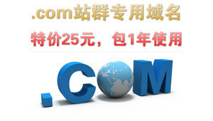 com 站群域名 注冊