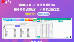 網站流量導入 軟件
