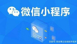 西安網站制作軟件（西安做網站的網絡公司）