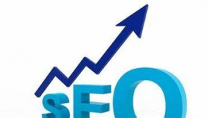 隨州網站優化公司（seo專業優化公司）