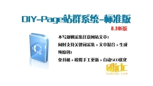 diy page站群軟件