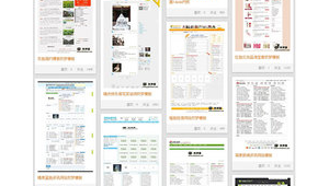 100個(gè)站群 文章