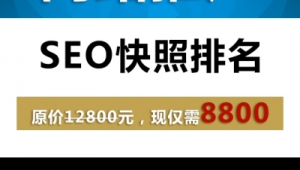 什么是seo推廣快照軟件_seo推廣效果怎么樣