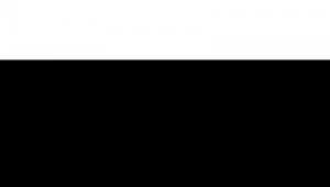 什么是站群模式(站群的作用)