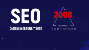 合肥網站優化搜索(合肥seo外包平臺)