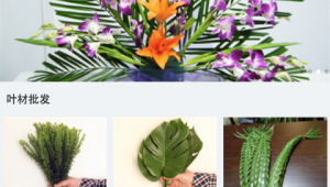 插花軟件網站有哪些(關于插花的軟件)