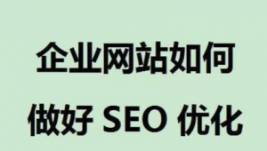 seo對網站進行什么優化_seo可以為企業和網站帶來的價值包括