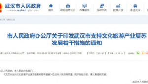 站群現在還有效果嗎（站群效果怎么樣）