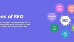 seo免費優化軟件(seo排名優化軟件有)