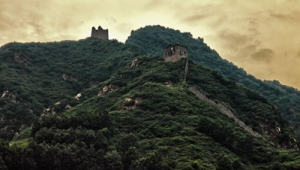 山東烽火臺站群號是多少(山東烽火科技有限公司)