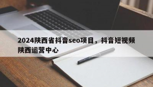 抖音seo公司(抖音seo是什么意思)