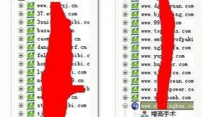 狂人站群管理系統(tǒng)（狂人+17）