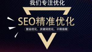 滄州網站優化公司(滄州網站seo公司)