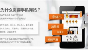 付費的網站（付費網站是真的嗎）