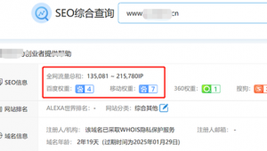 站群怎么盈利（站群有什么好處）