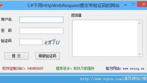 網站驗證下載軟件是什么(下載軟件驗證中是什么意思)