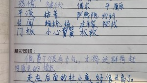 泰安東平教師編(泰安市東平縣學(xué)校搬遷最新消息)