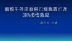 計時的軟件叫什么名字（高顏值的計時軟件）