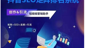 seo網(wǎng)站排名優(yōu)化軟件是什么(網(wǎng)站seo軟件能優(yōu)化)