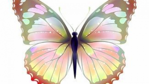 蝴蝶 配色（蝴蝶網圖片）
