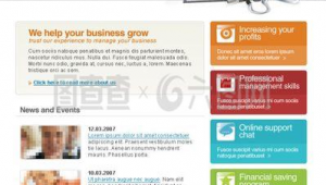 軟件類 公司 網站