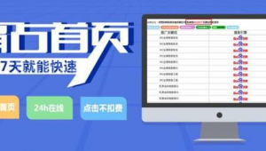 萬(wàn)詞霸屏軟件seo平臺(tái)