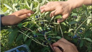 牙克石信息群（牙克石貼吧吧最新動態）