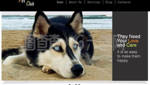 有沒有關于狗狗的網站(狗狗網 下載)