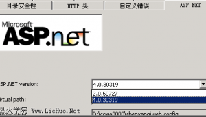 iis如何部署網站(如何在iis上部署web api)
