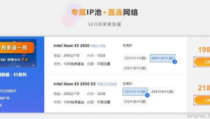 做站群需要多大的服務器才能做(站群需要多少域名)