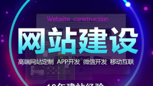 2021站群程序（站群排名技術(shù)）