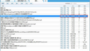 軟件新出網(wǎng)站：探索全新功能與體驗，開啟精彩網(wǎng)絡(luò)之旅