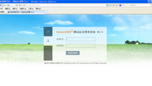 網站更新美化軟件哪個好（網站怎么美化）