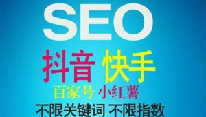 seo軟件服務(企業seo開發)